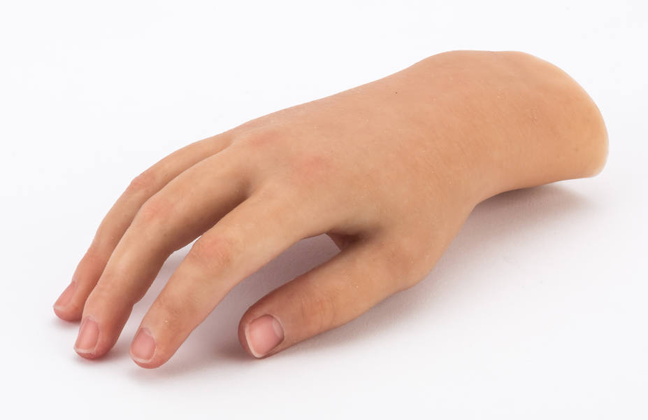 LS Pediatric Full Hand b